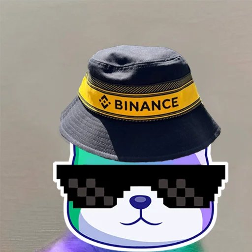 Bonklana's tweet photo. @binance @RealJassia This $BOK just went from a 5 to a 10/10 https://t.co/Gp5XrdTeEC