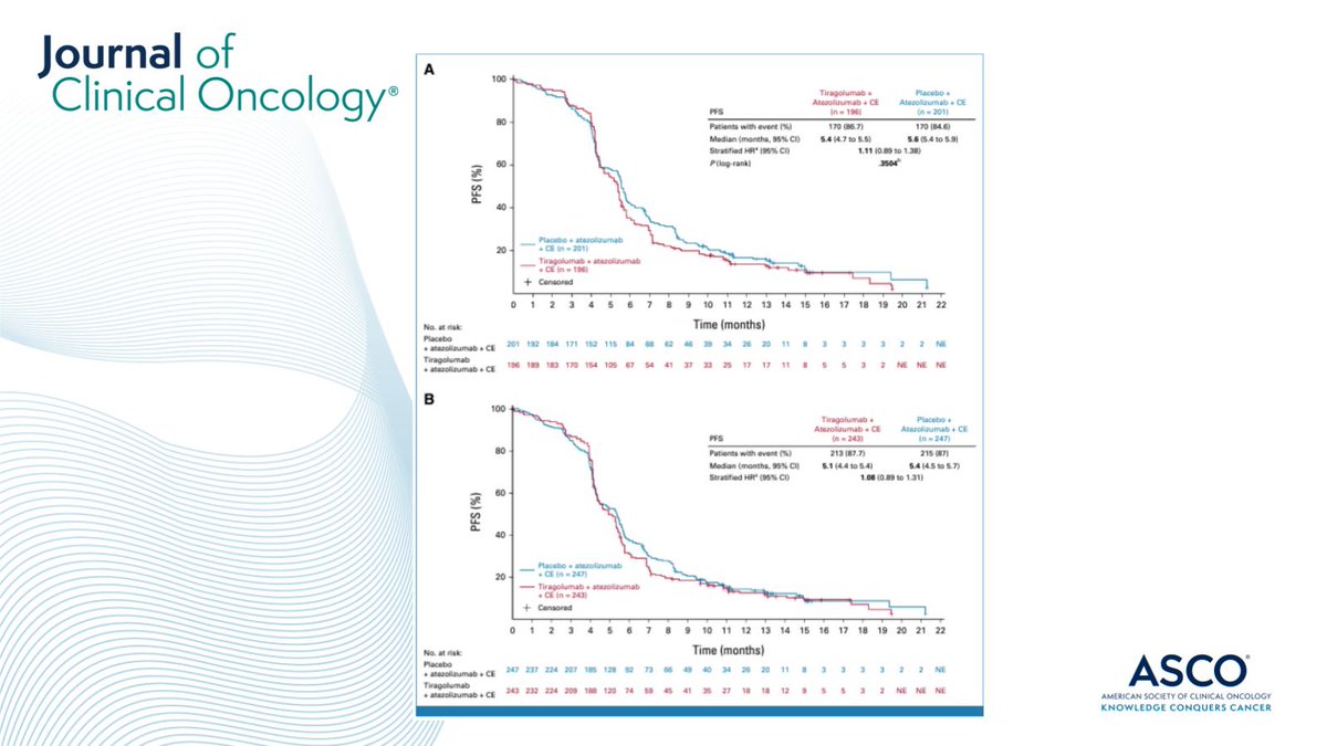 JCO_ASCO's tweet image. 😞 In SKYSCRAPER-02, tiragolumab + atezolizumab + chemo did not show improved progression free or overall survival compared to the placebo combo in pts with Extensive-Stage Small-Cell #LungCancer ➡️ brnw.ch/21wFDWN #LCSM #ImmunoOnc @charlesrudin