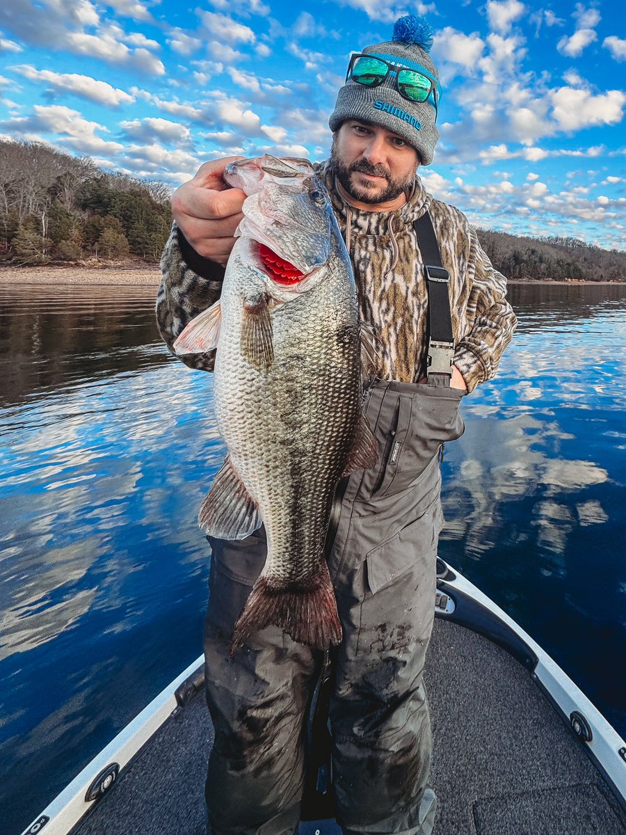 KBOriginals's tweet photo. More of that home pond fun.
#TheHoller #BigsInBottomland https://t.co/qzcbIn0tSG