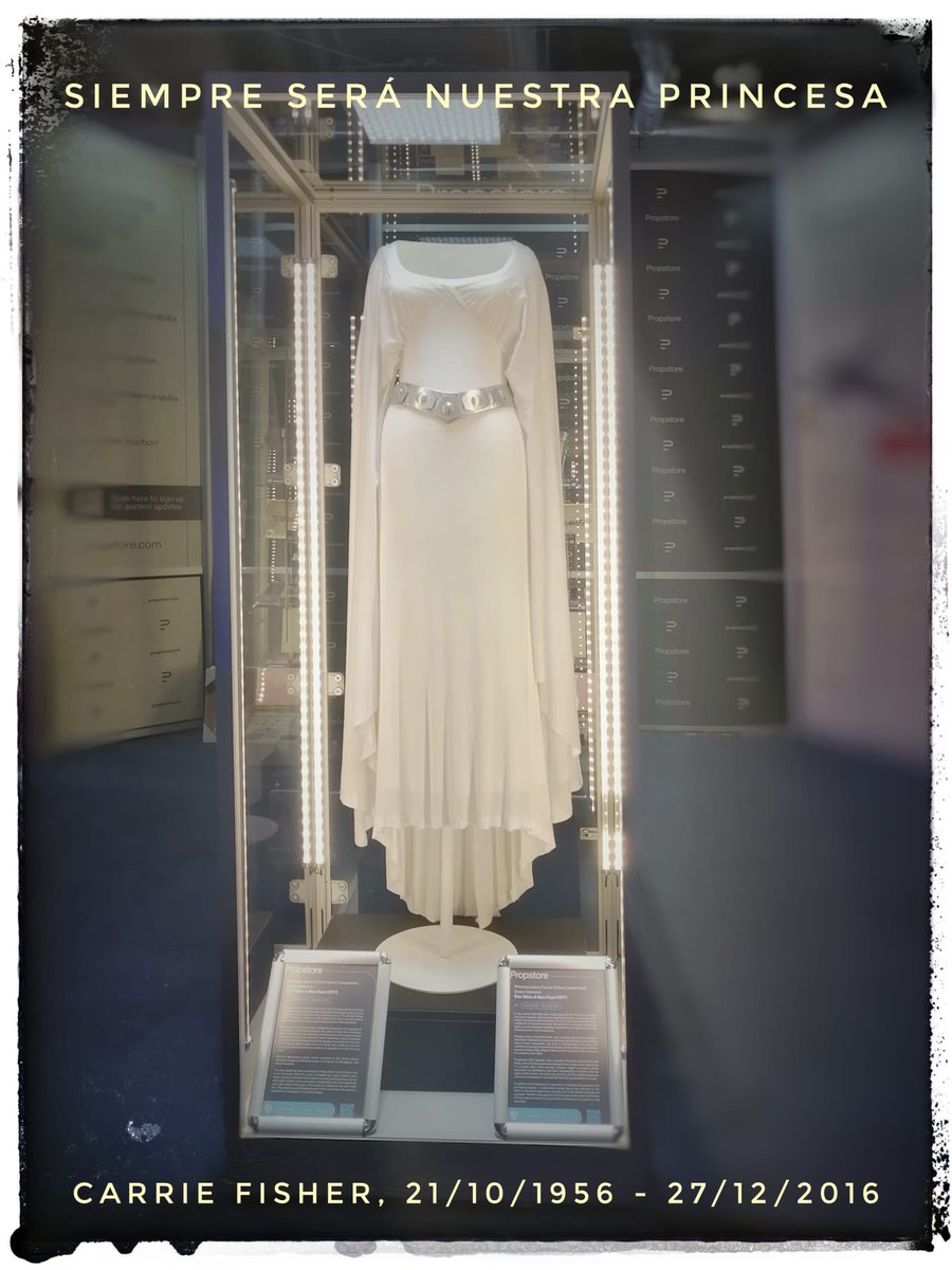 Orden66Asturias's tweet photo. 7 años sin nuestra Princesa rebelde. 
#generalleiaorgana
#princesaleia
#Leia
#leiaorgana
#carriefisher
#starwars
#maytheforcebewithyou
#quelafuerzateacompañe
#orden66asturias
#orden66madrid
#OneWorldOneOrder66 https://t.co/3NoTsiIPzs