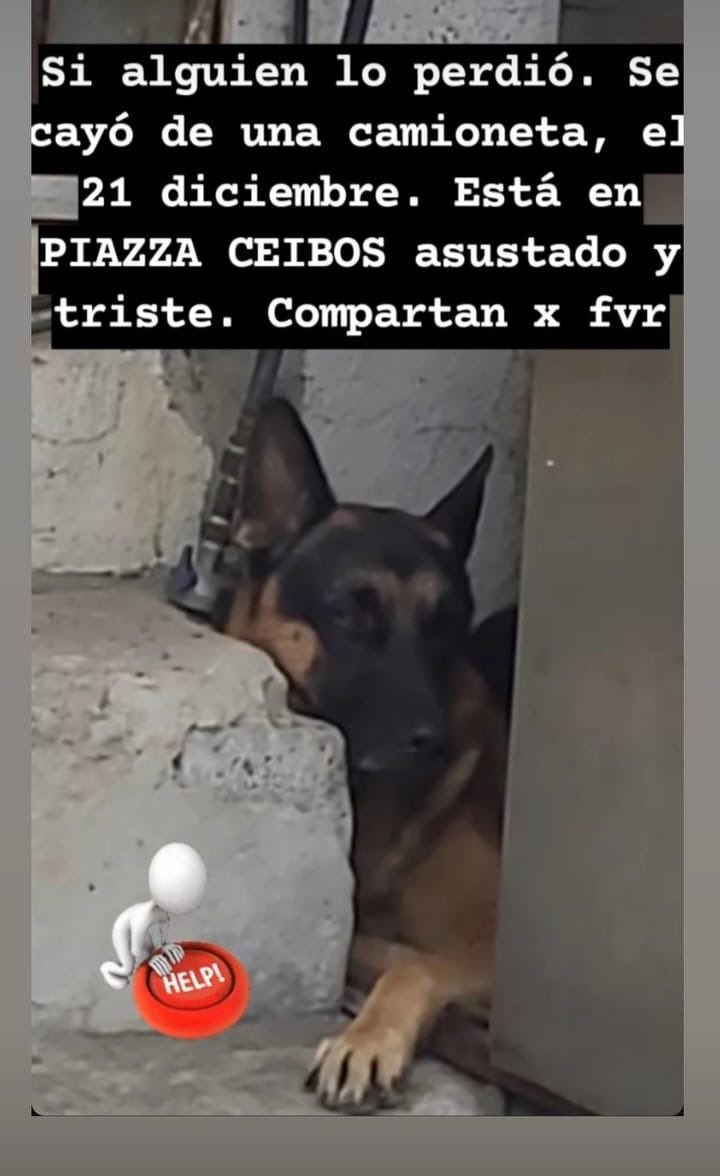 jorgebaquerizof's tweet photo. https://t.co/AQ6Sj4es3F