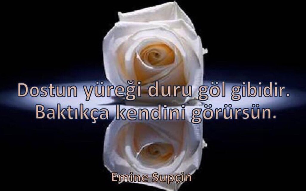eminesupcin's tweet photo. https://t.co/CjMI5da7Qu