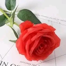 Hoy está de cumpleaños <a href="/ElainePlasenci2/">Elaine Plasencia</a> 
Miembro del Buró Provincial del Partido en #SanctiSpíritusEnMarcha 
Llegue nuestras felicitaciones a esta excepcional mujer que mucho aporta a #Cuba desde esta central provincia. 
#EstaEsLaRevolución