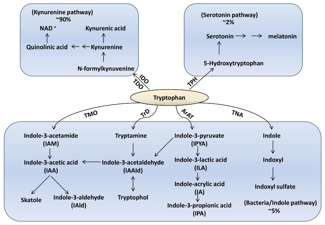 GutMicrobiota Health tweet media