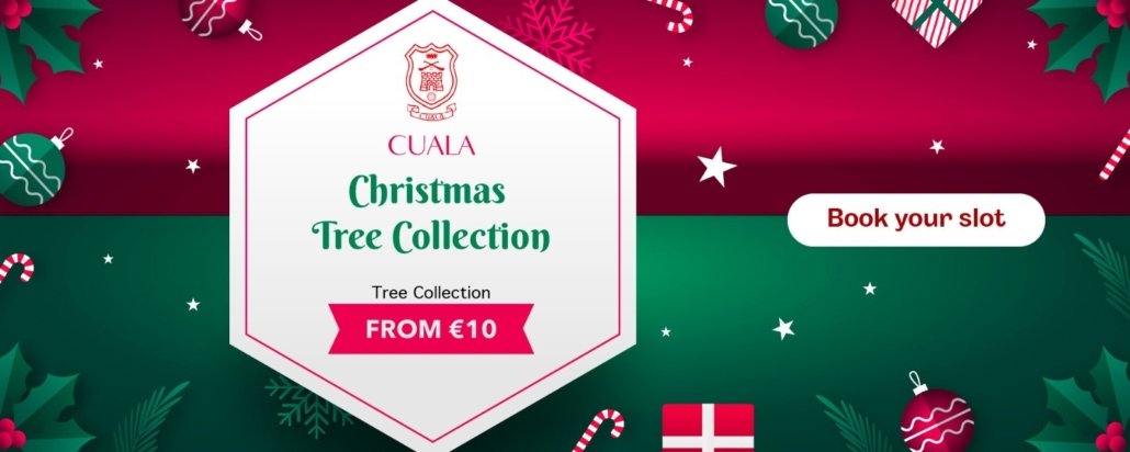 CualaCLG's tweet photo. Beginning Monday 2nd of January 2024, the Juvenile Section will be collecting Christmas Trees 🎄

You can have your tree collected from (outside) your home with a minimum contribution of €10 per tree⚪🔴

Book your slot here - https://t.co/AkbW3URhP4 https://t.co/q3CmPE0TJV