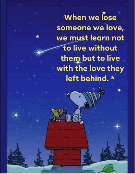 G12Rocco's tweet image. 