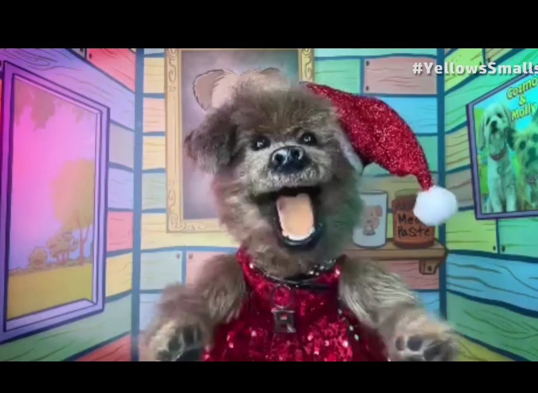 WHAT???? #YellowsSmalls