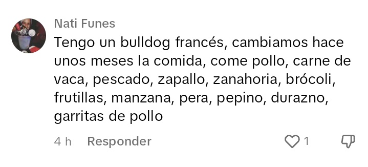 brieffinquiry's tweet photo. este perro come mejor que yo https://t.co/nmhPpUDMXi