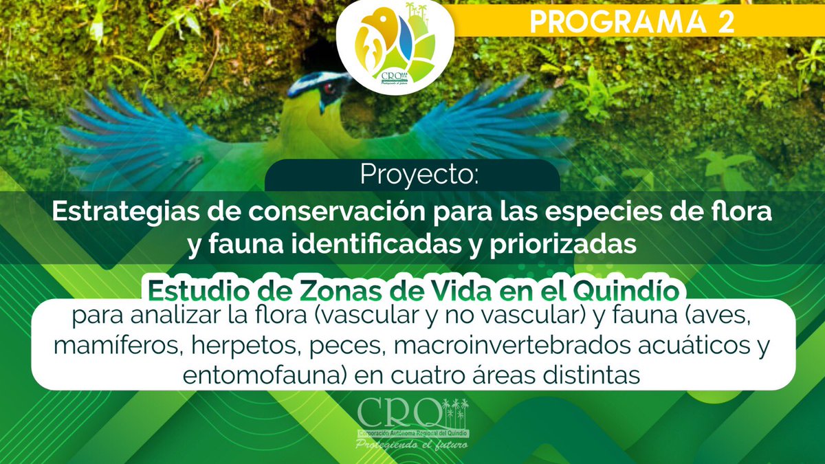 Estrategias que lideró José Manuel Cortés Orozco, director general de la CRQ, en el cumplimiento del plan de acción institucional “Protegiendo el patrimonio ambiental y más cerca del ciudadano”. <a href="/ASOCARS/">ASOCARS</a> <a href="/MinAmbienteCo/">MinAmbiente Colombia</a>