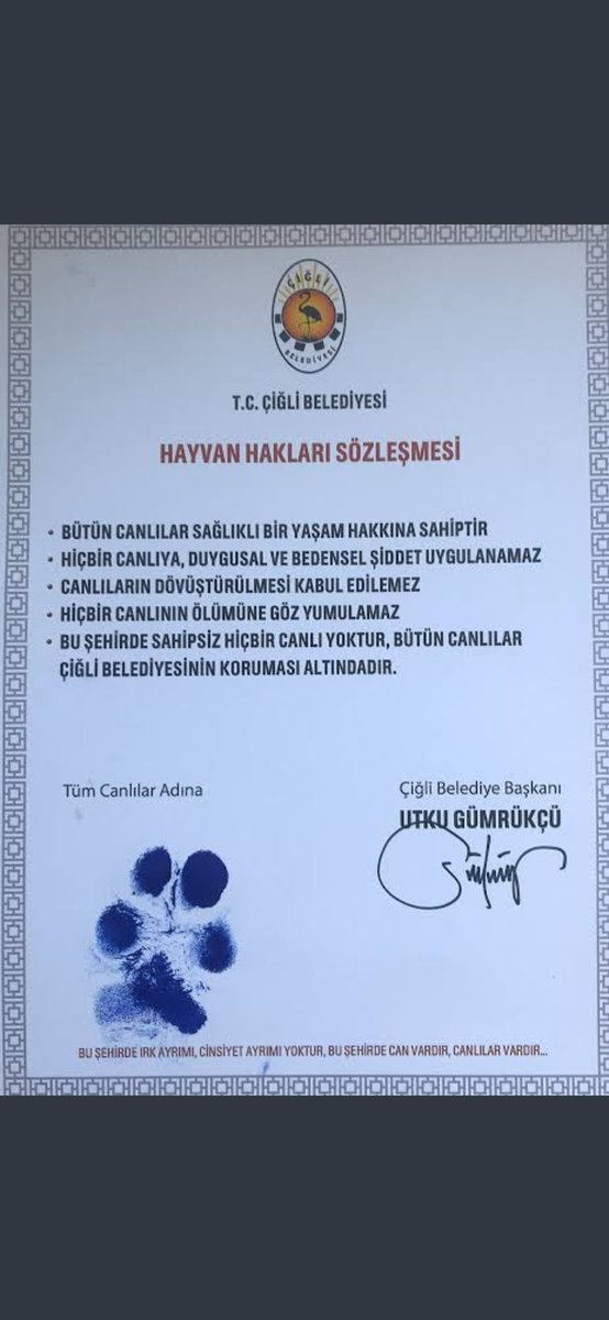 @waitingforsept @eczozgurozel Bir ömür CHP'ye oy verdik‼️
Sonuç;
bugüne kadar belediyenin hiçbir kurumuna hiçbir derdimiz için ulaşamadık, başımıza sardıkları başkan köpek ayağı boyadı, muhatap aldı,vatandaşa kulak tıkadı,İzmir'i insanlara cehennem, köpeklere cennet yaptılar‼️
İnsan sevmeyen aday istemiyoruz!