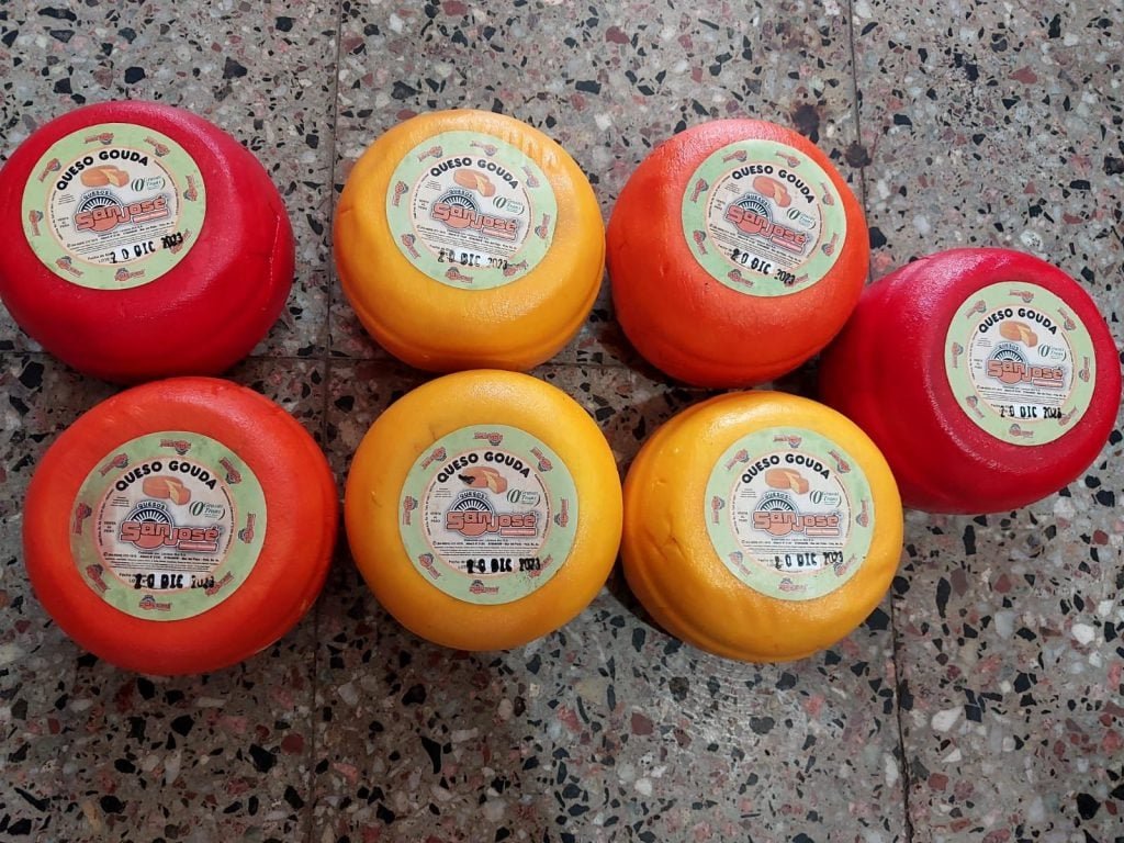 "Mar del Plata":

Porque un hombre de 62 años fue detenido por robar siete hormas de queso en dicha ciudad: tiene 15 antecedentes penales por el mismo delito.