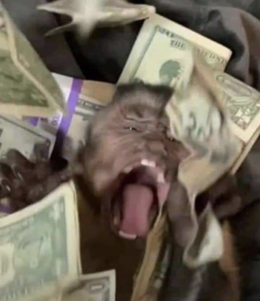 “el dinero no da felicidad” 

yo con dinero: