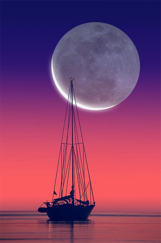 VieNatureSavoir's tweet photo. Good night ✨✨✨✨✨✨💜 https://t.co/BhHJrVqZ2S