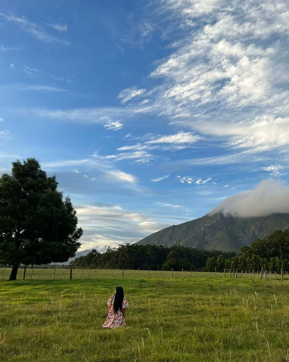 Wen op my eie's niks
Die banke kan vat wat ek het,
maar laat hulle raak aan jou...
Die Here hoor my daar's nie 'n wet nie...