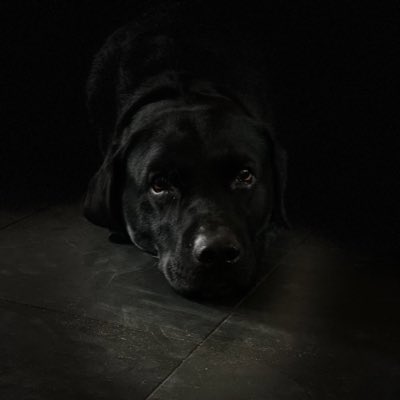 HDW06's tweet photo. #nieuweprofielfoto https://t.co/zZ3tHgPGyj