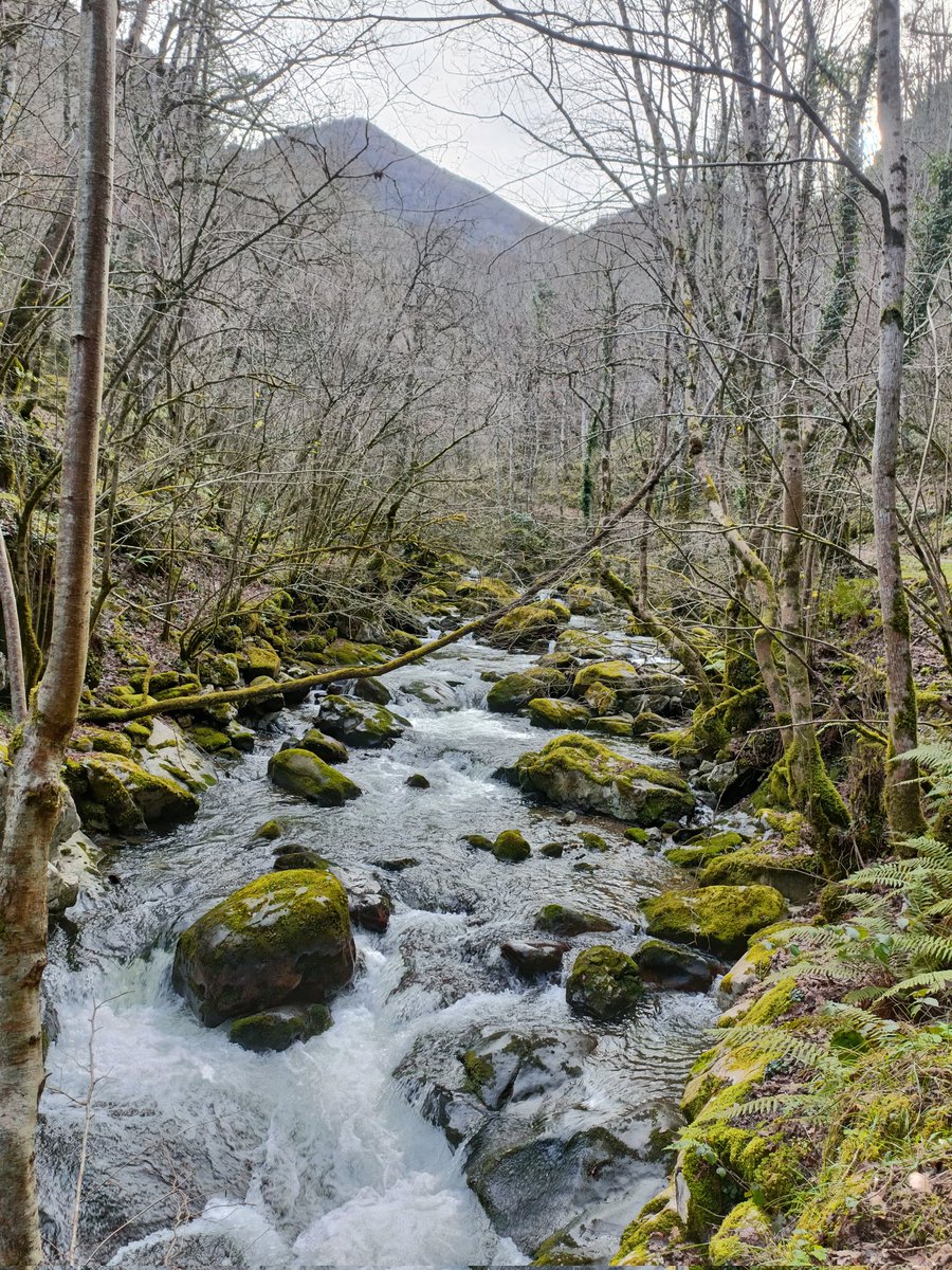 bastian_lidhia's tweet photo. #asturias en invierno 💚
#rutadelalba https://t.co/WAflZloTOS