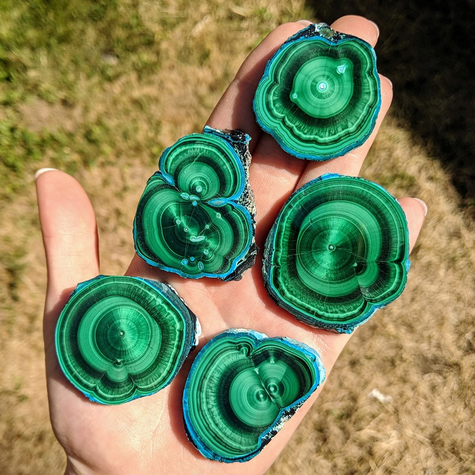 GeologyTime's tweet photo. Chatoyant Malachite Slices with Chrysocolla outer bands from Congo a

Photo: The November Gem https://t.co/IuMfLXlmFj