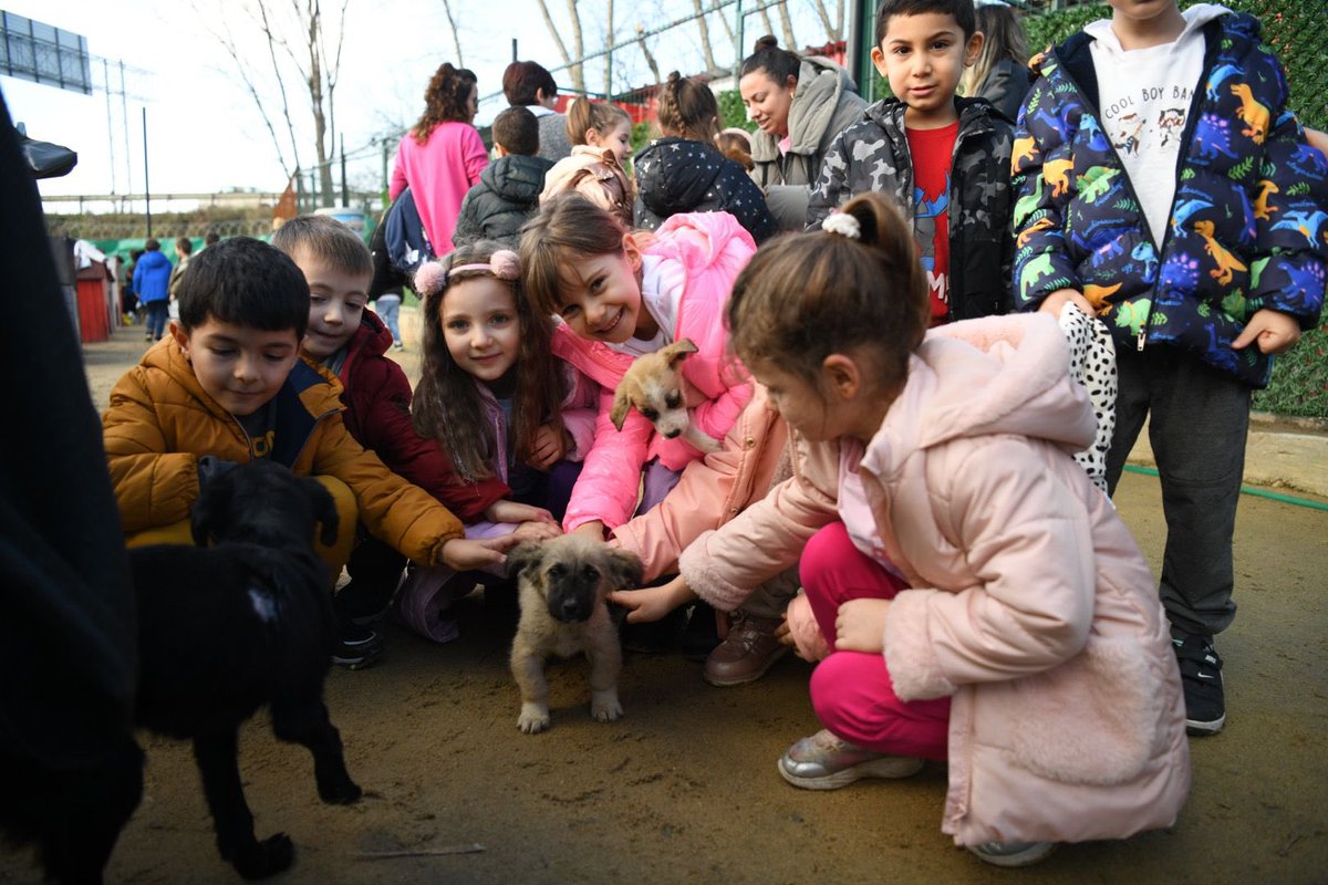 Bugün öğrencilerimiz ile birlikte Ke-Hayko ve Keşan Belediyesi'nin işbirliği ile kurulan, sokak canlarını koruma yuvasına ziyarete gittik. Öğrencilerimize hayvan sevgisini aşılamamıza destek olan Belediye Başkanı Sayın Mustafa Helvacıoğlu ve Ke-Hayko'ya teşekkürü borç biliriz..🧸