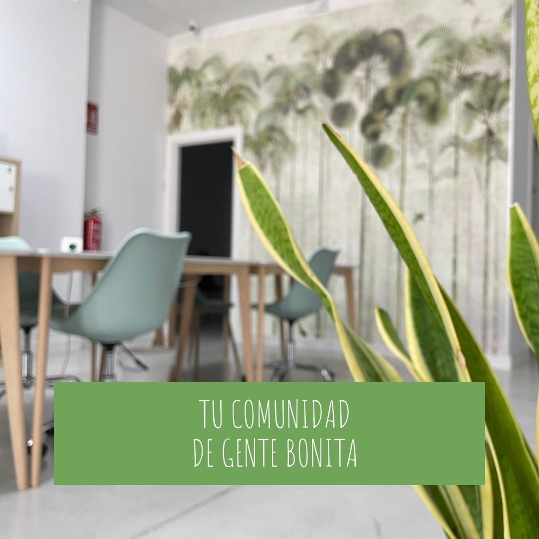CoworkingElche's tweet photo. ¿Buscas un espacio de trabajo flexible y colaborativo en Elche? Descubre Elche Coworking, donde los emprendedores encuentran la inspiración y la comunidad que necesitan para crecer. 

https://t.co/3KcDgzjT7l
#CoworkingElche #Emprendedores #ElcheCoworking https://t.co/ttiH7KGrGC