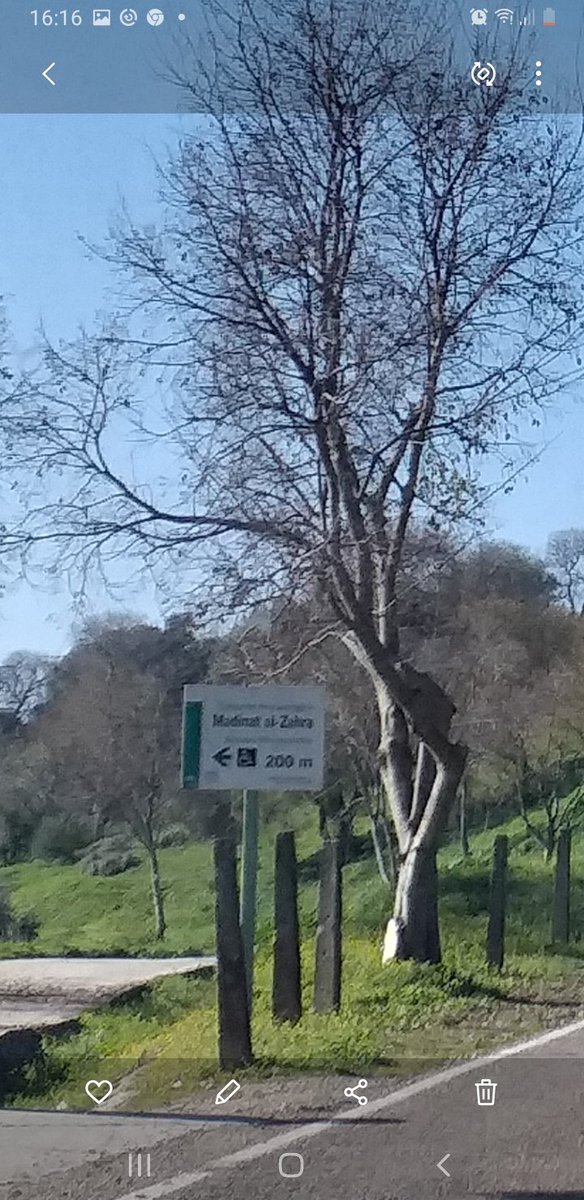 El conjunto arqueológico en la ciudad palatina de Medina Azahara del siglo X, que mandó edificar el 1er. califa de Córdoba, Abderramán III, a los pies de Sierra Morena es una de las maravillas del pasado que hay que visitar <a href="/PrensaACPI/">ACPI Periodistas iberoamericanos</a>