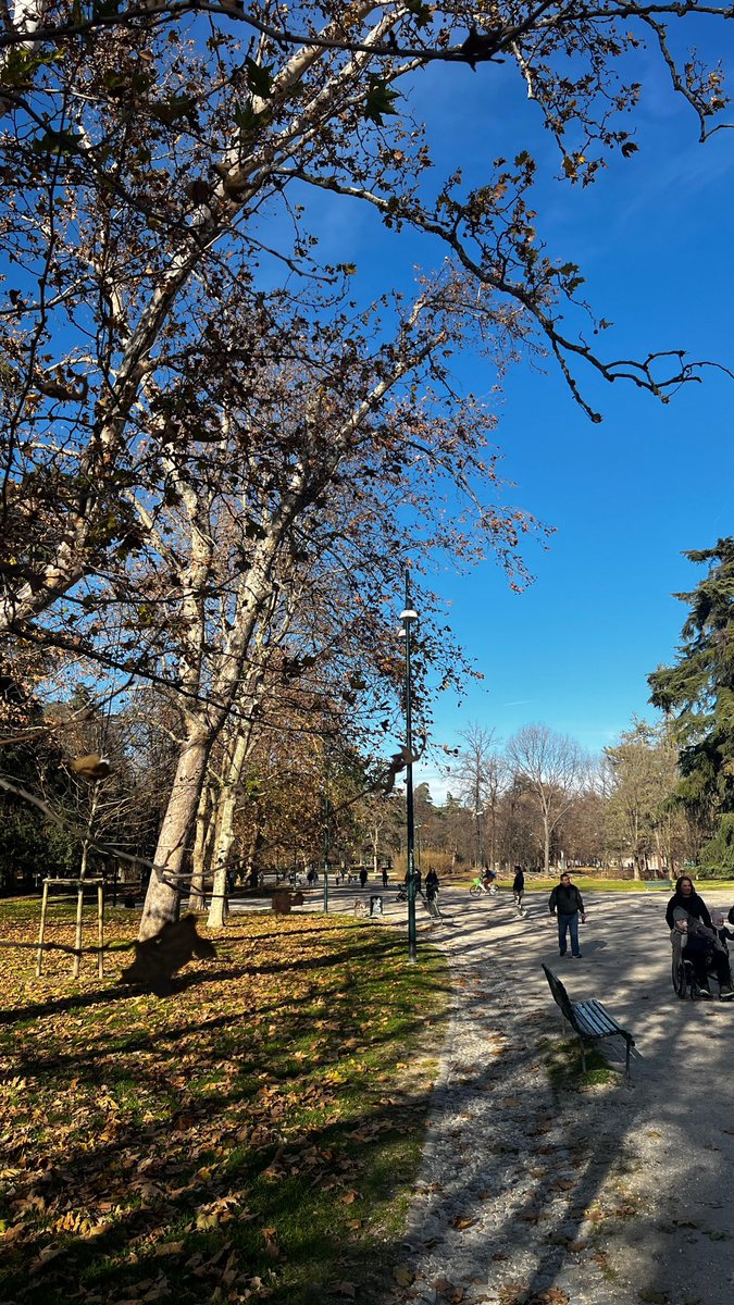 iima82's tweet photo. Milano autunno🍁🇮🇹 https://t.co/PooYYBo8ow