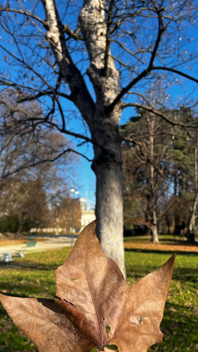iima82's tweet photo. Milano autunno🍁🇮🇹 https://t.co/PooYYBo8ow