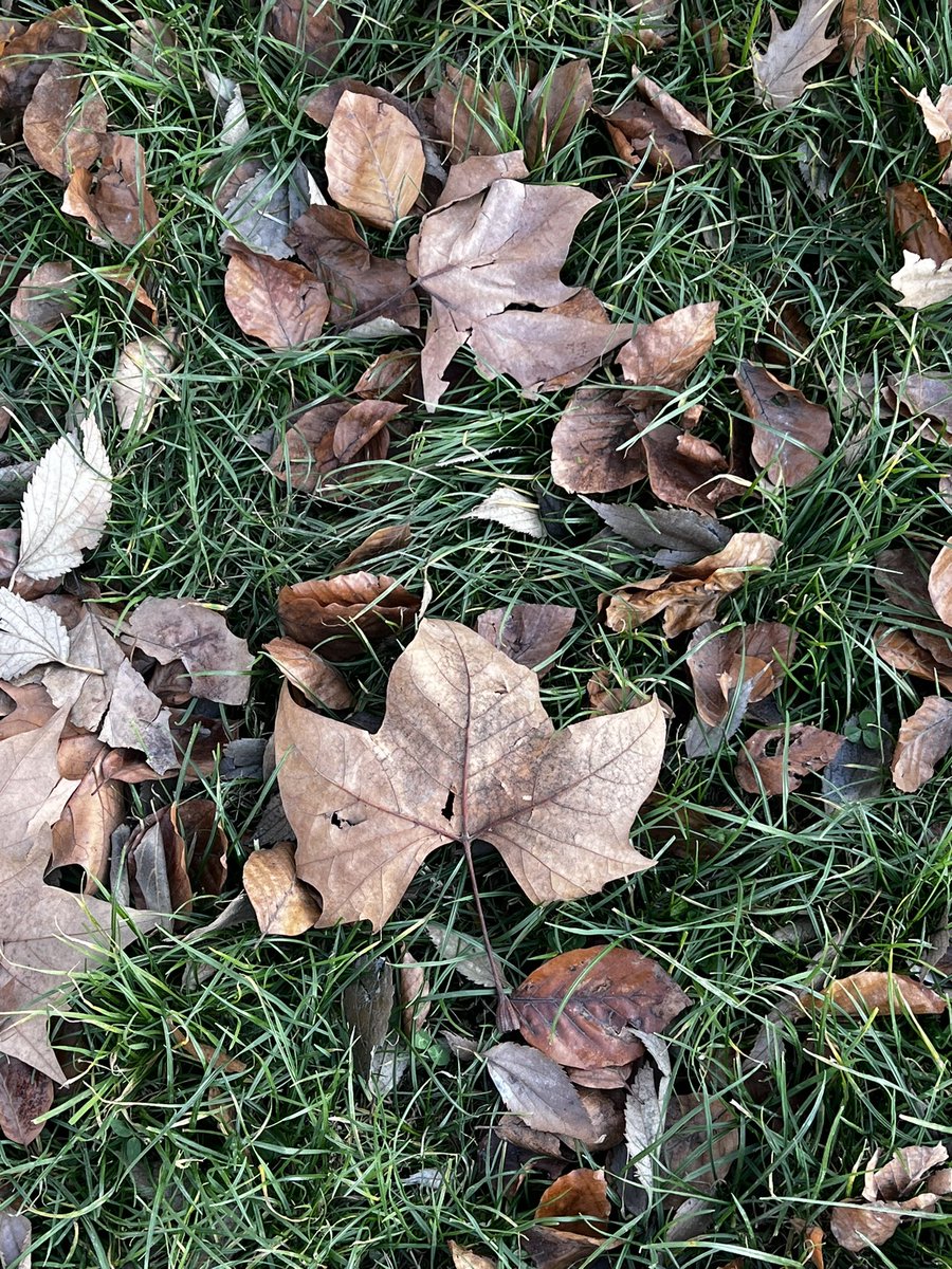 iima82's tweet photo. Milano autunno🍁🇮🇹 https://t.co/PooYYBo8ow