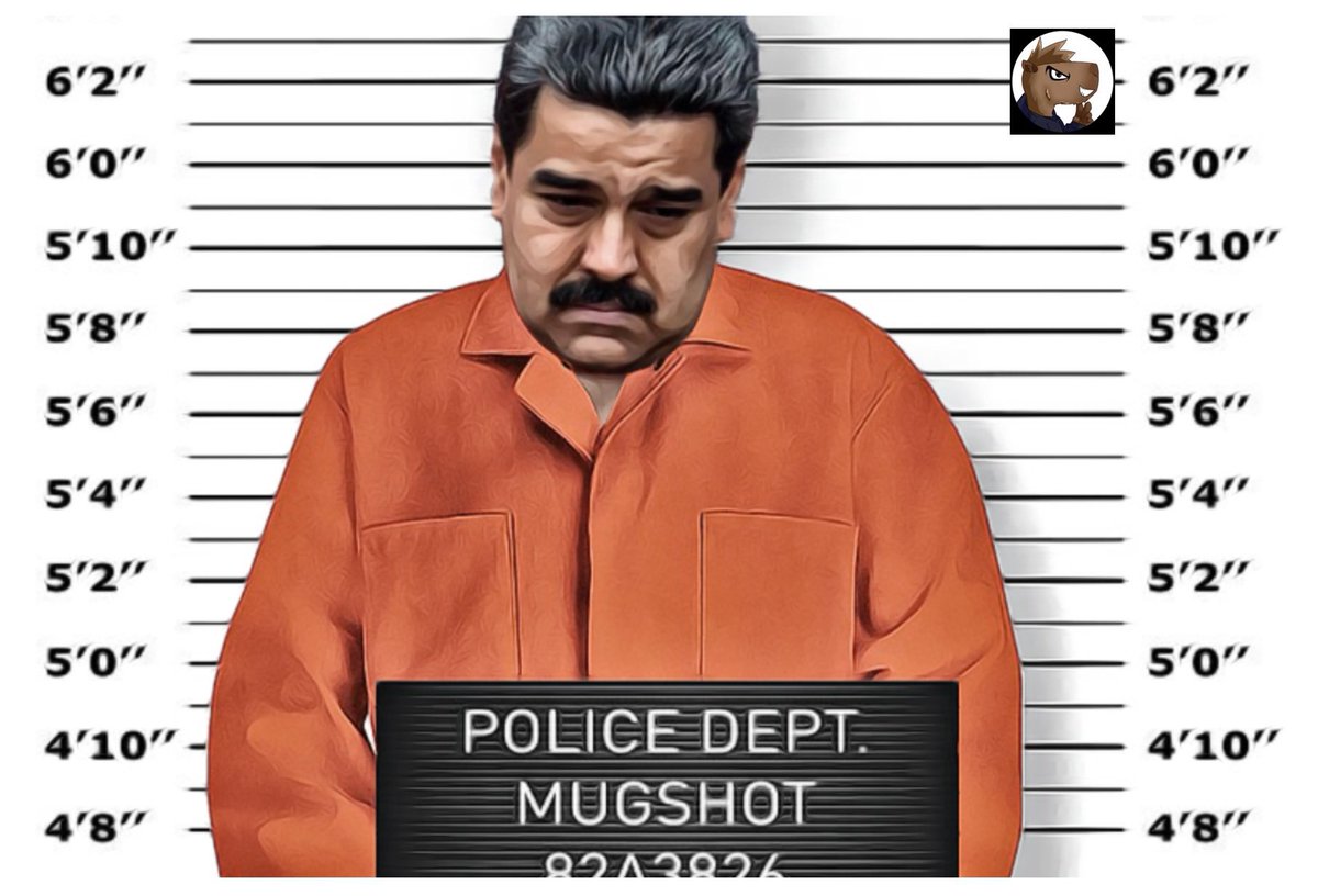 El Chigüire Tripolar tweet media