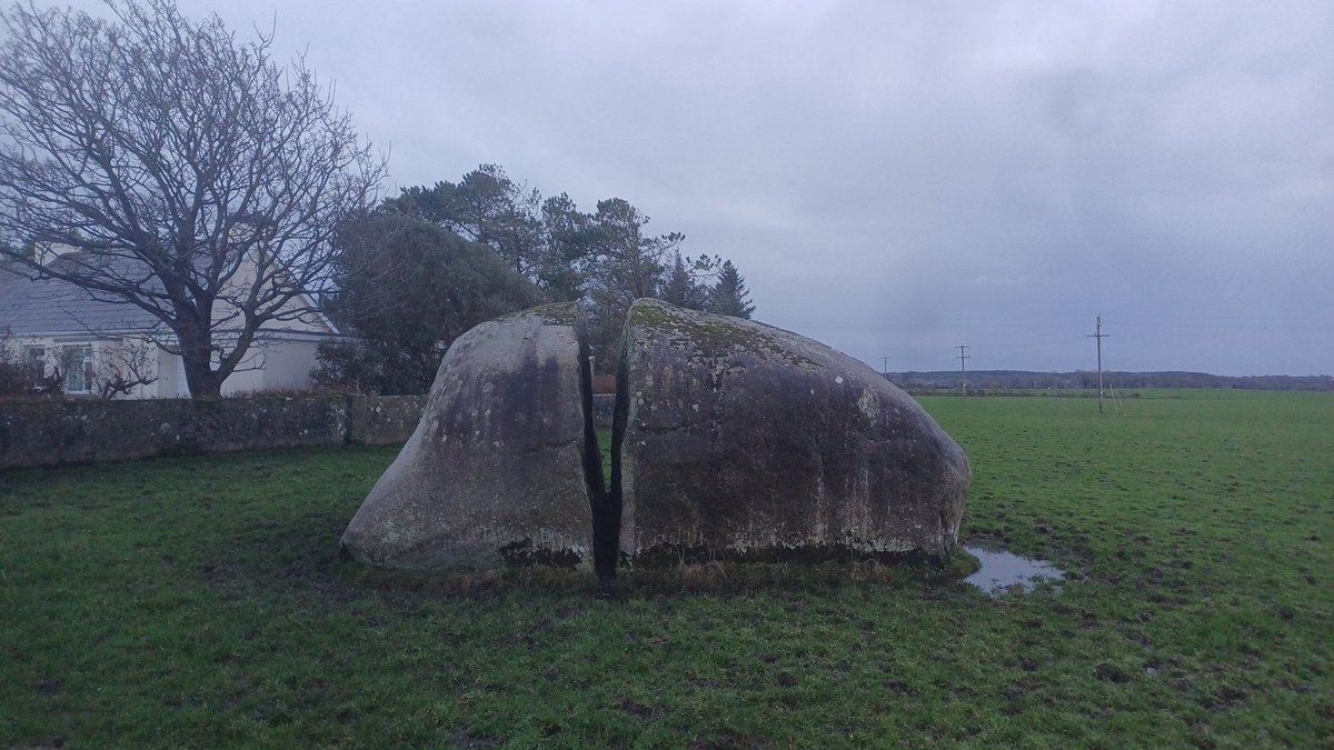 tuiscebeatha tweet media