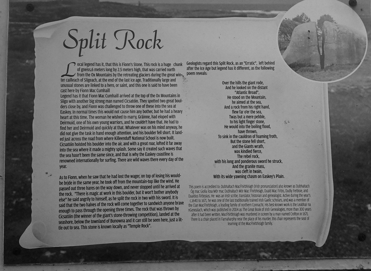 tuiscebeatha tweet media