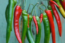 DrSemiyaAziz's tweet photo. Spice up your life with the health benefits of chilies!🔥 Rich in capsaicin, these fiery wonders boost metabolism, aid digestion & may even help manage pain. Vitamins A, B6 & C & antioxidants.🌶️💚 #ChiliPower #SpicyHealth #wellness #health #happy #spice #HealthyLiving #uk https://t.co/dlCS3hy3j9
