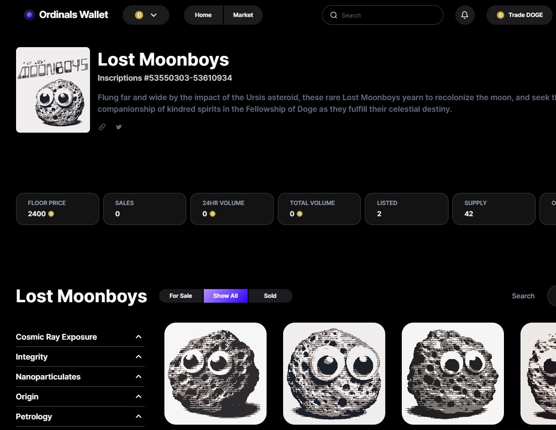 The Lost Moonboys tweet media