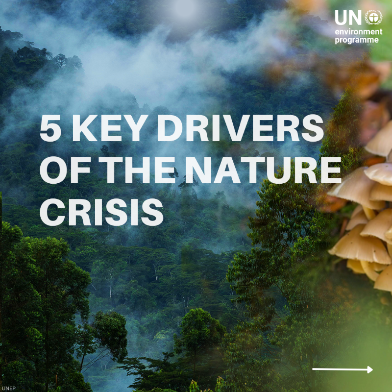 UNEP's tweet photo. The planet is experiencing a dangerous decline in biodiversity. Here are 5 drivers of the nature crisis that you should know.

UNEP is working with partners to take action in land- and seascapes, transform our food systems &amp; close the finance gap #ForNature.