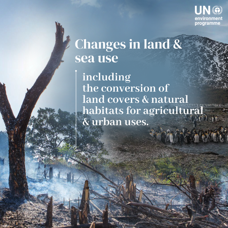 UNEP's tweet photo. The planet is experiencing a dangerous decline in biodiversity. Here are 5 drivers of the nature crisis that you should know.

UNEP is working with partners to take action in land- and seascapes, transform our food systems &amp; close the finance gap #ForNature.