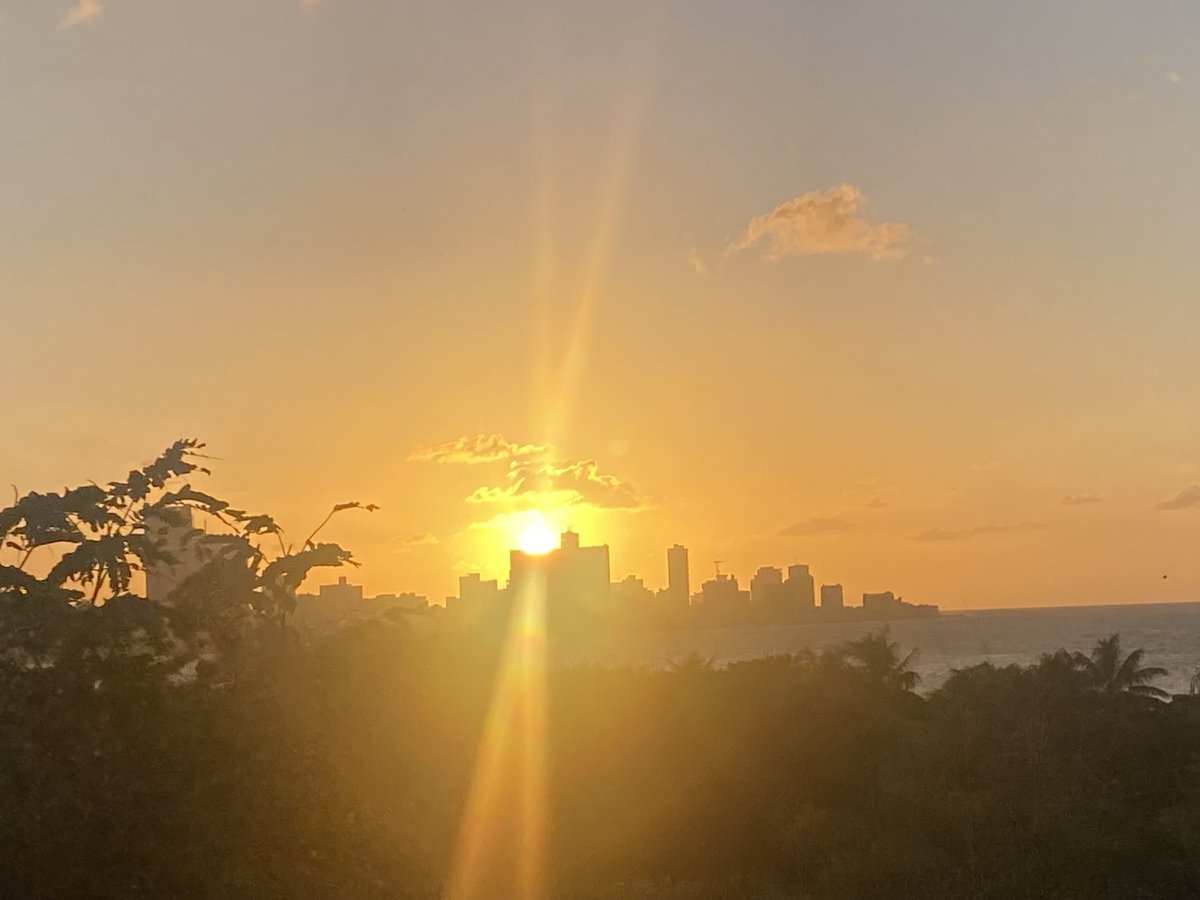 MariaEmiliaAdan's tweet image. Terminando el #Año2023, es hora de reflexionar sobre lo vivido, para enmendar errores y renovar los propósitos no cumplidos.