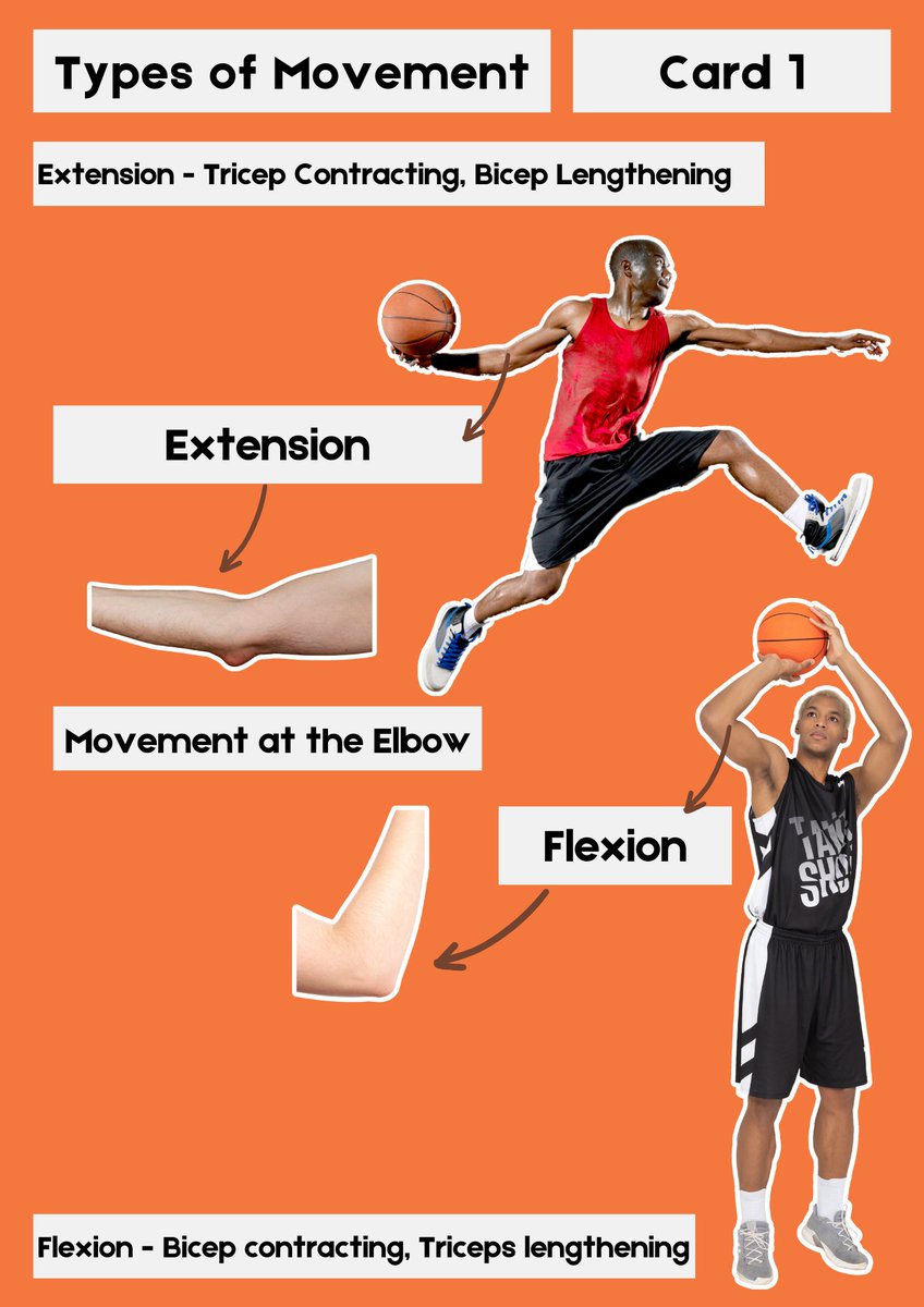 Zeph Bennett tweet media