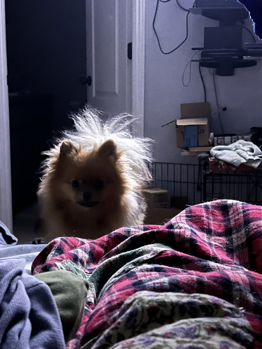 The Mother of Baggins tweet media