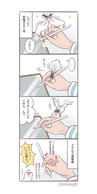 タッチペンが好きでまとわりつく1号、やめてって言ったら気分を害したのかステルス攻撃された(↓ツリーにオマケあり)
#文鳥 
#4コマ漫画 