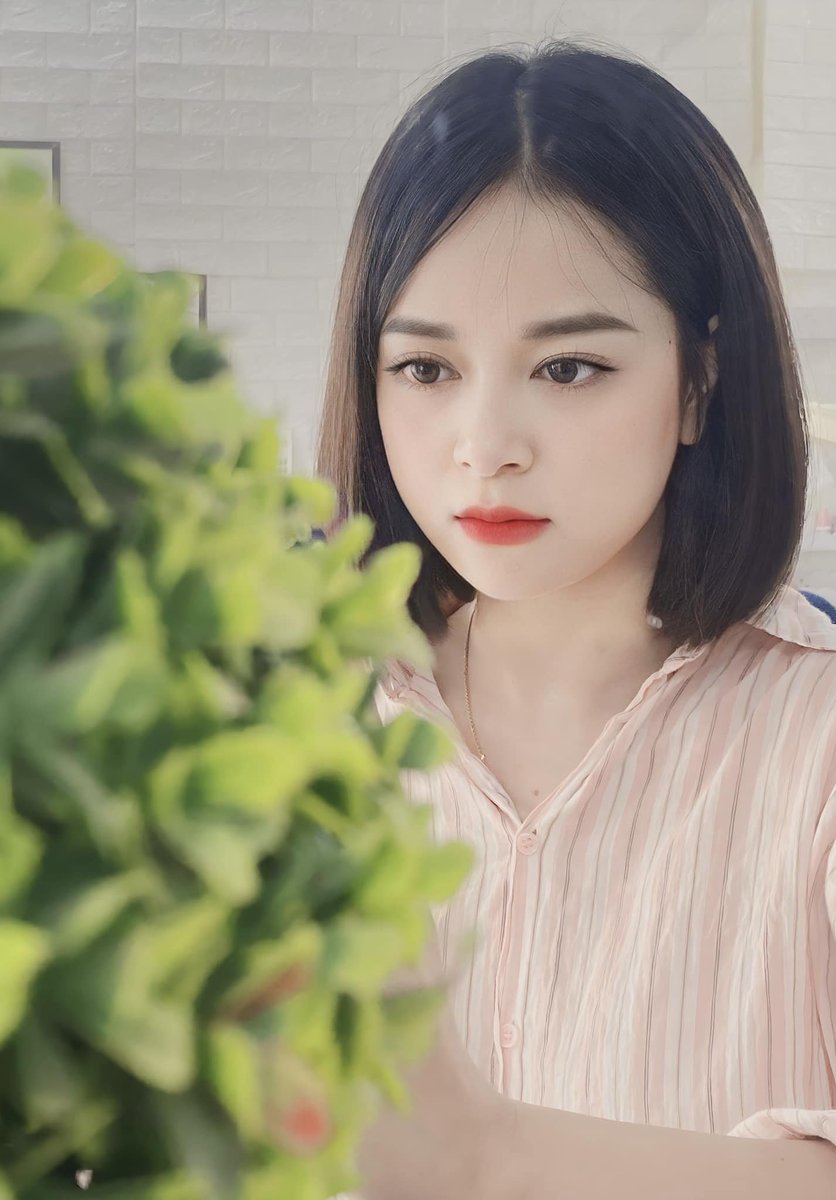 Jun Phạm tweet media