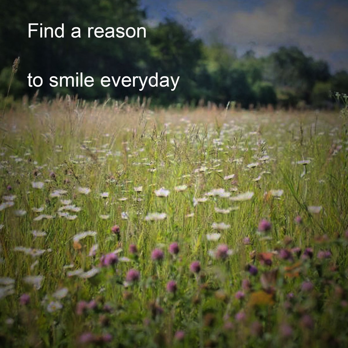 avanatural's tweet photo. Seek out a reason to light up your day with a smile, for within every moment lies a spark of joy waiting to be discovered.
#FindJoyEveryday https://t.co/5o86n9se1q
