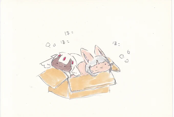 寒い日はやっぱりダンボールよね。#イラスト #メイドインアビス 