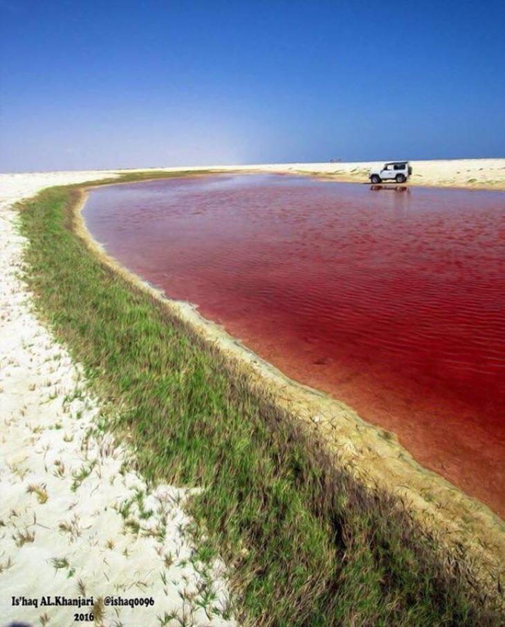 اللهم ارزقنا رضا النّـفس، وزكاة الرّوح، وزينة العقل، وطهارة القلب، واجعلنا ممّـن تزوّدوا بالتقوى، وفازوا بالنجوى، وتزينوا بالدّعوة، ونالوا رضاك والجنة.
(الصورة لإحدى البحيرات الوردية في ولاية الجازر)
#شبكة_الساحل_العماني