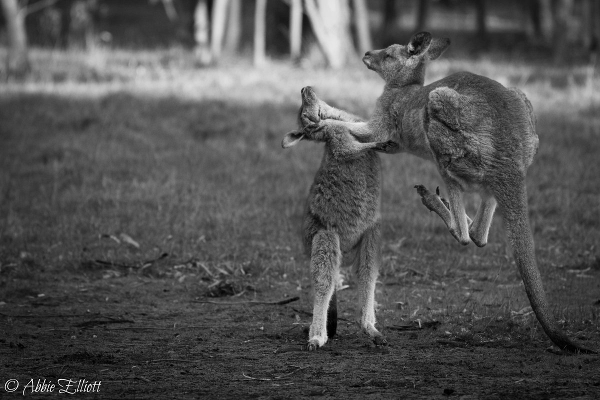 Abbie 🌱 tweet media