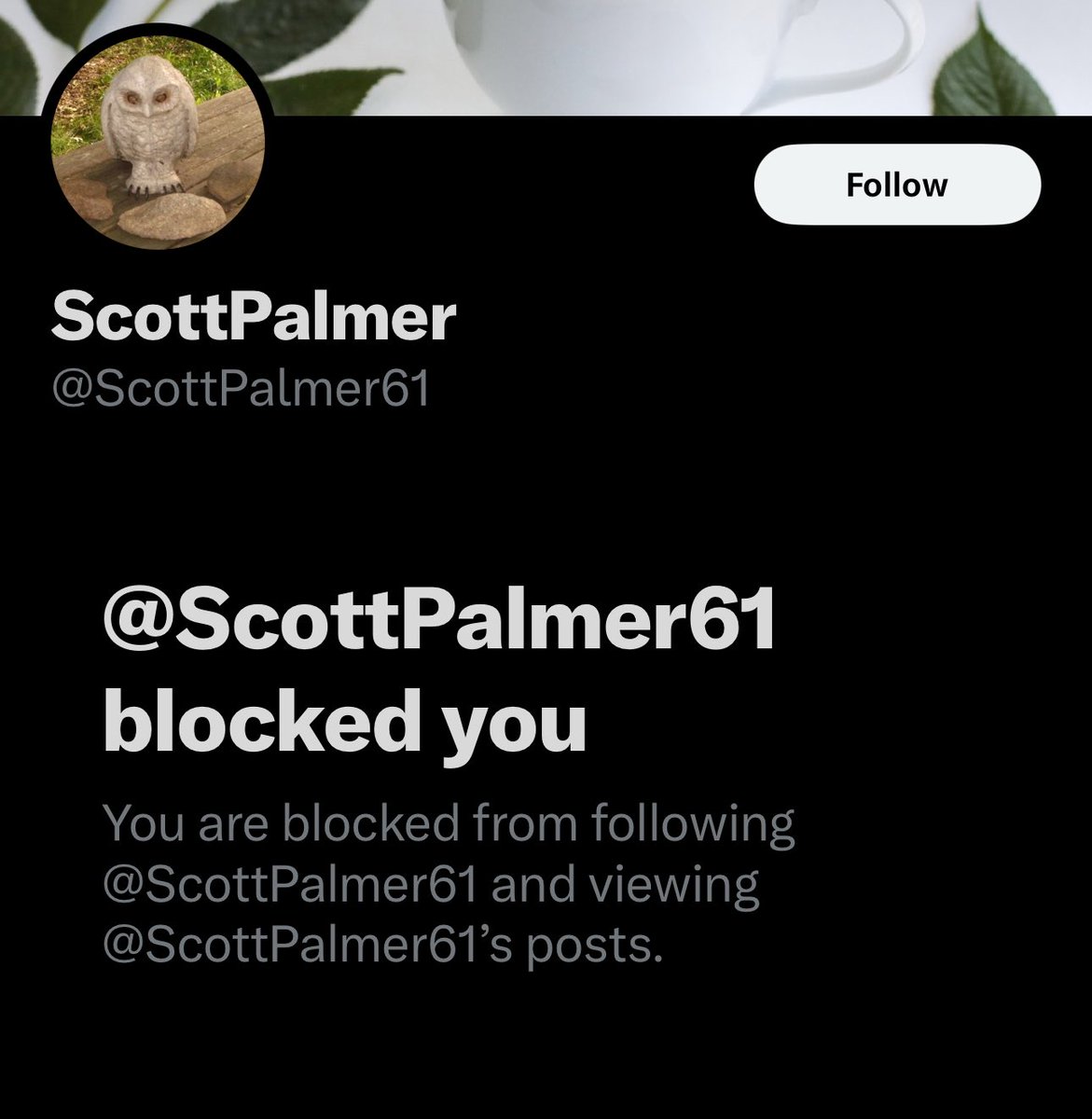 Ben Anderson tweet media