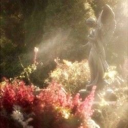 Betty's garden ☁️ tweet media
