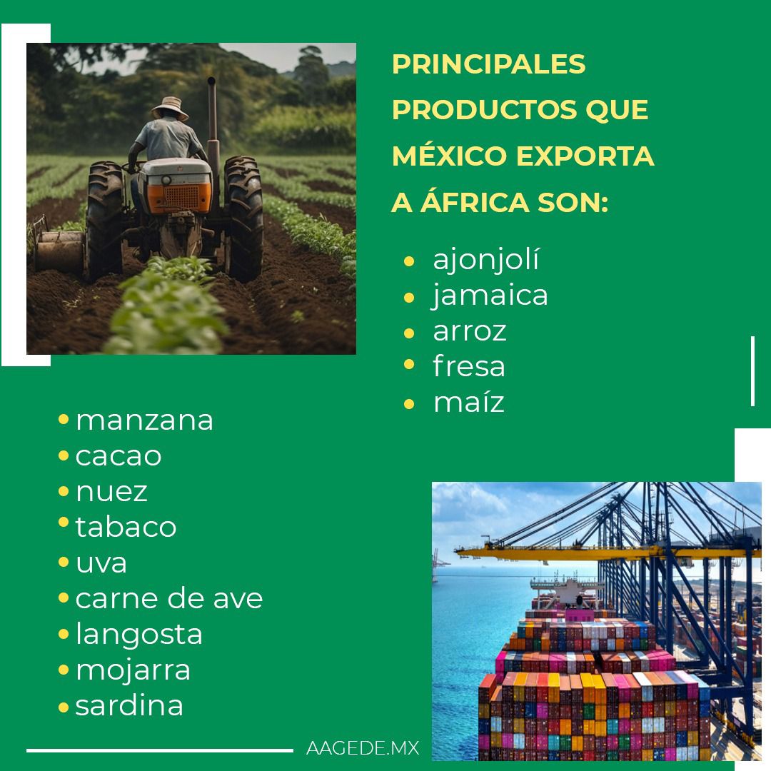 AAGEDEAC's tweet photo. ¿Sabías que México exporta a muchos países del mundo, incluyendo una gran variedad de países africanos como Nigeria,Congo, Guinea Ecuatorial, Camerún, Etiopía, Costa de Marfil, Uganda, Egipto,entre otros?🇲🇽🇳🇬🇪🇬
#ImportacionMexico #comercioexterioryaduanas #almacenesdedeposito https://t.co/hZ3nPwdqQ3
