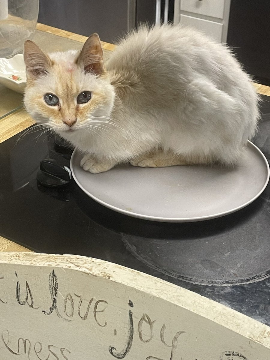 jilly!!! (@jillyaaaaa) on Twitter photo 