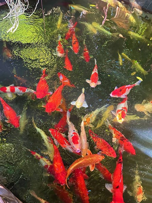 Lee🍬 (@danielalejand60) on Twitter photo 