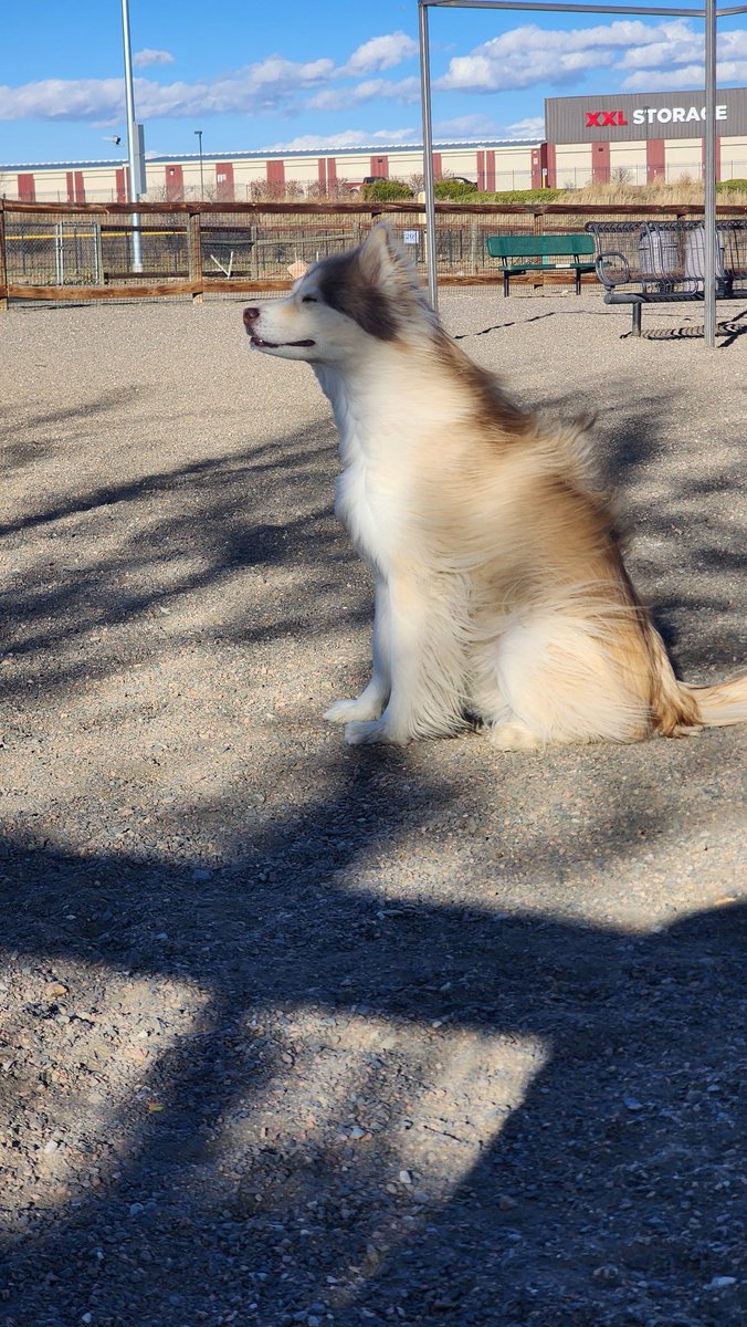 lavalleemi's tweet photo. Windy day at the park. https://t.co/PfxfTOO0xj