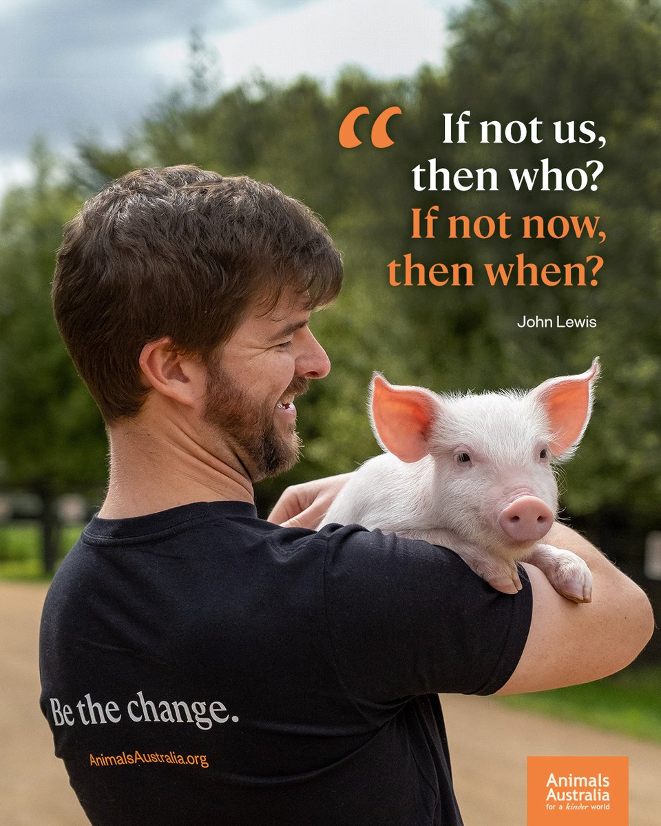 AnimalsAus's tweet photo. For most of us, eating animals was never a conscious choice. We ate them because our parents did.

This is our time to question. Our time to care and create the world we want to see. Our chance to let love and kindness, light and guide our way. https://t.co/MIZG2o4Fzz